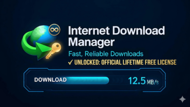 Internet Download Manager (IDM) 6.42 Build 63 Free Lifetime Use